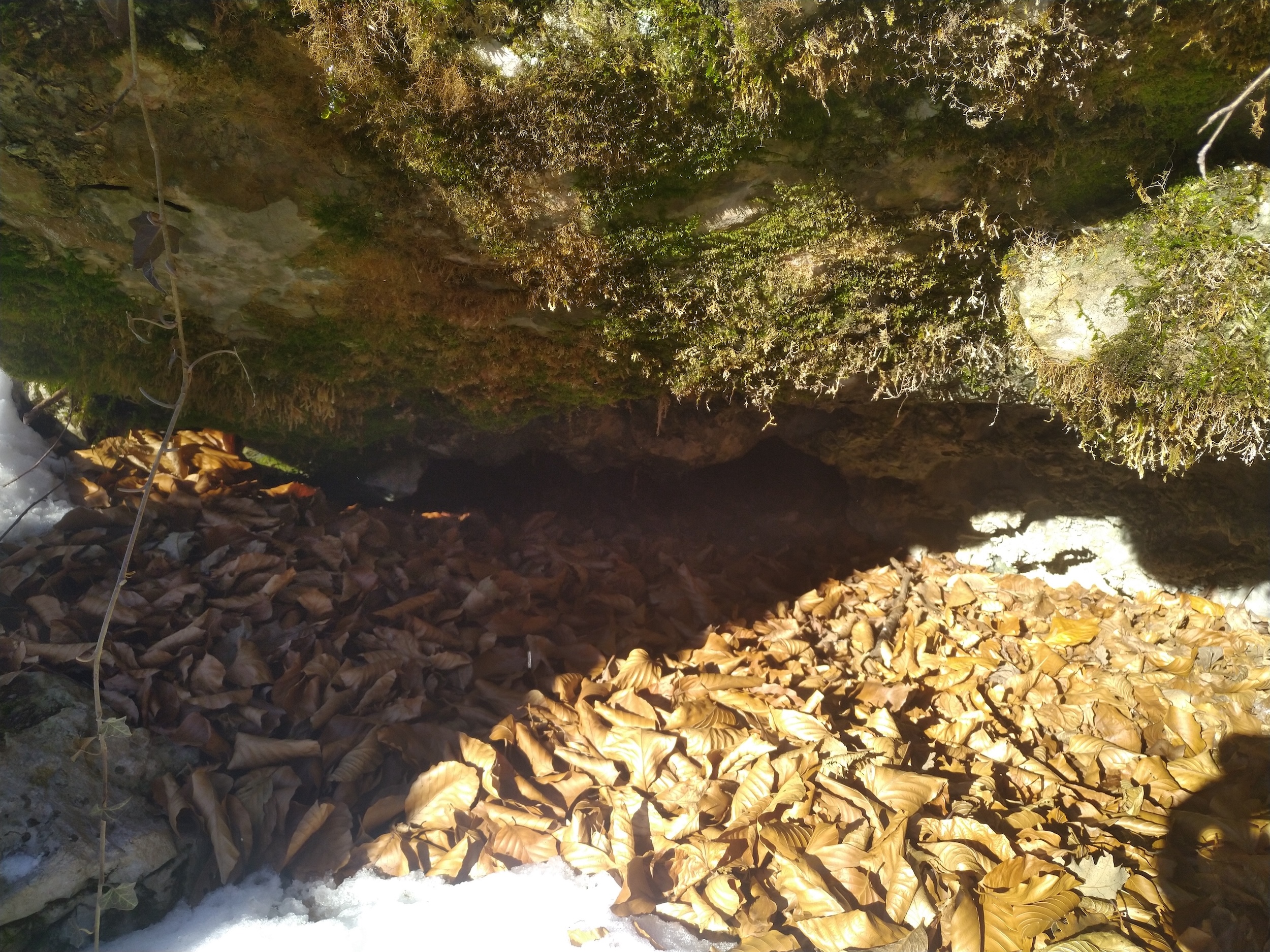 Peștera Nr. 16 din Valea Comarnic - Image 2